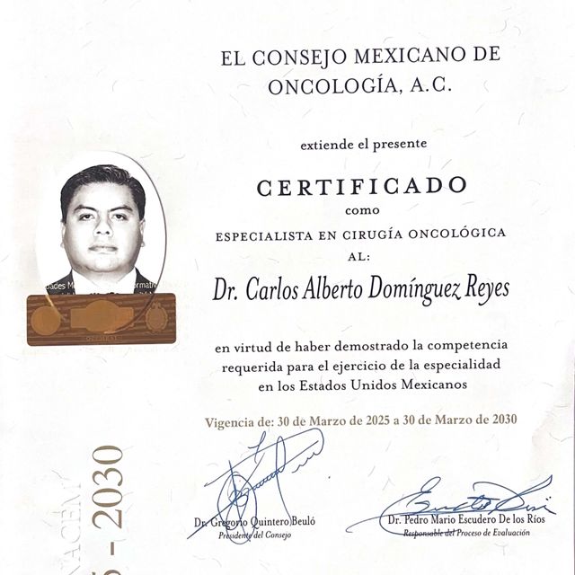 Ampliar imagen: certificate 1