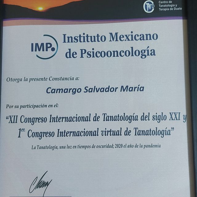 Ampliar imagen: certificate 31