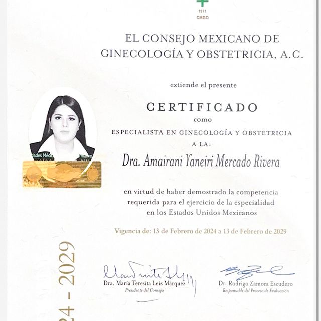 Ampliar imagen: certificate 1