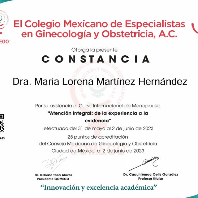 Ampliar imagen: certificate 13