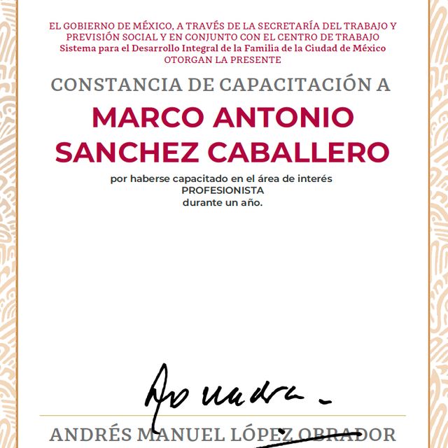 Ampliar imagen: certificate 5