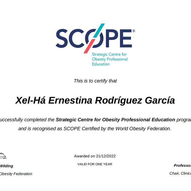 Ampliar imagen: certificate 2
