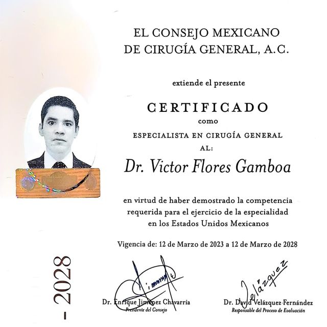 Ampliar imagen: certificate 1