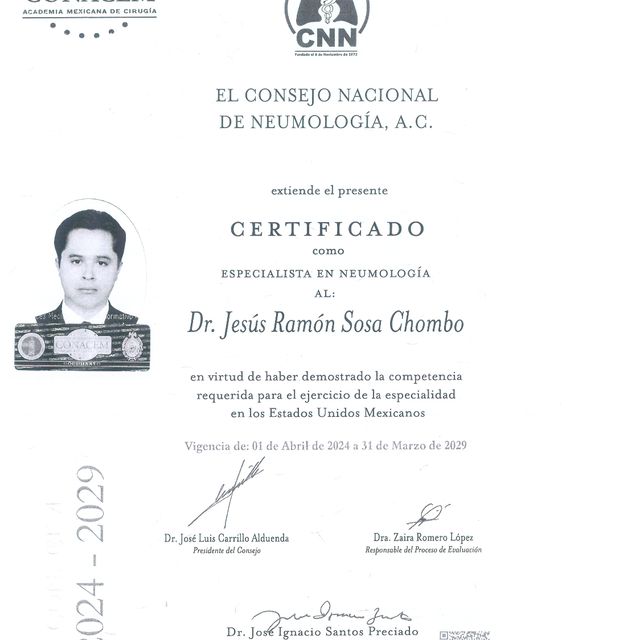 Ampliar imagen: certificate 1