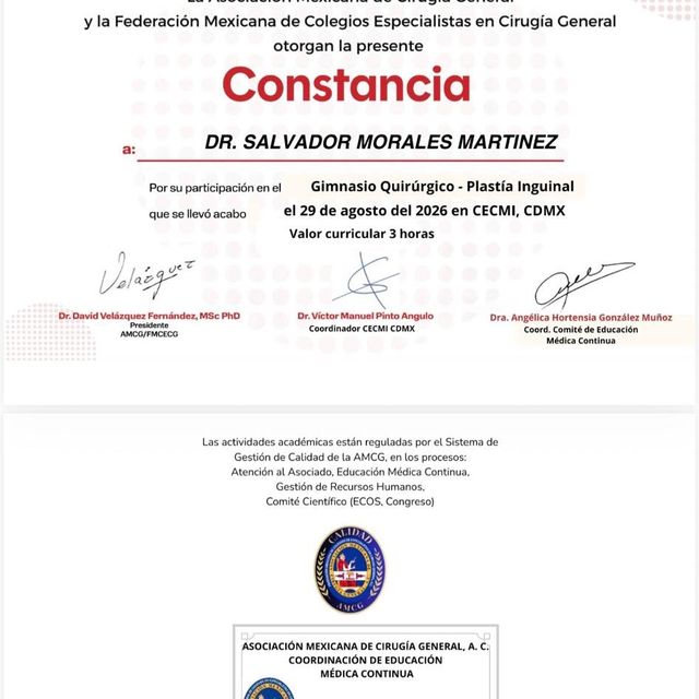 Ampliar imagen: certificate 5