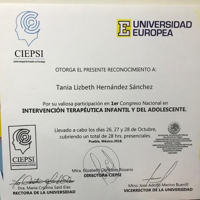 Ampliar imagen: certificate 3