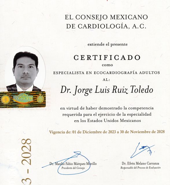 Ampliar imagen: certificate 3