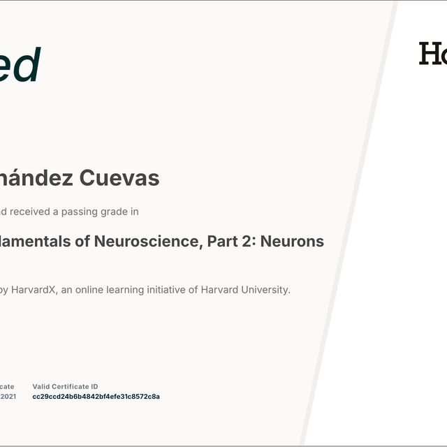 Ampliar imagen: certificate 4