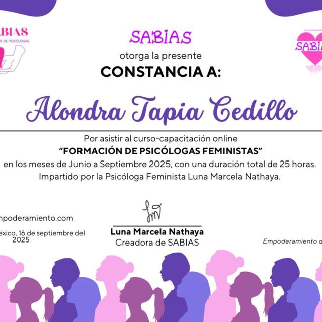 Ampliar imagen: certificate 7