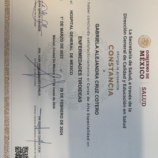 Ampliar imagen: certificate 4