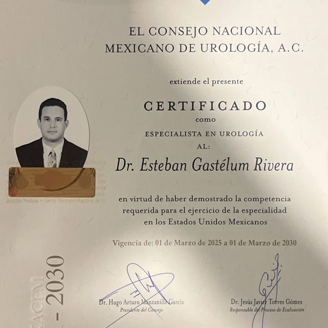 Ampliar imagen: certificate 5