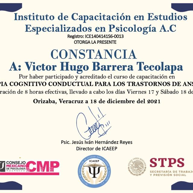 Ampliar imagen: certificate 13