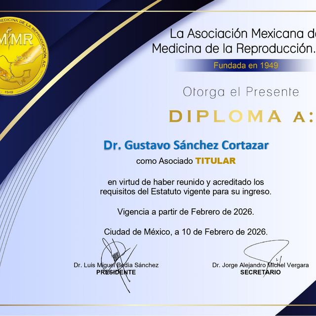 Ampliar imagen: certificate 4