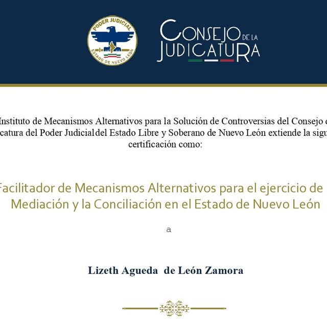 Ampliar imagen: certificate 1