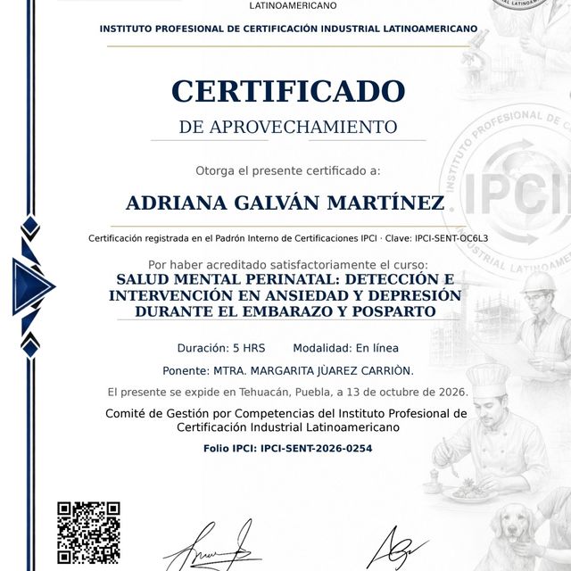 Ampliar imagen: certificate 4
