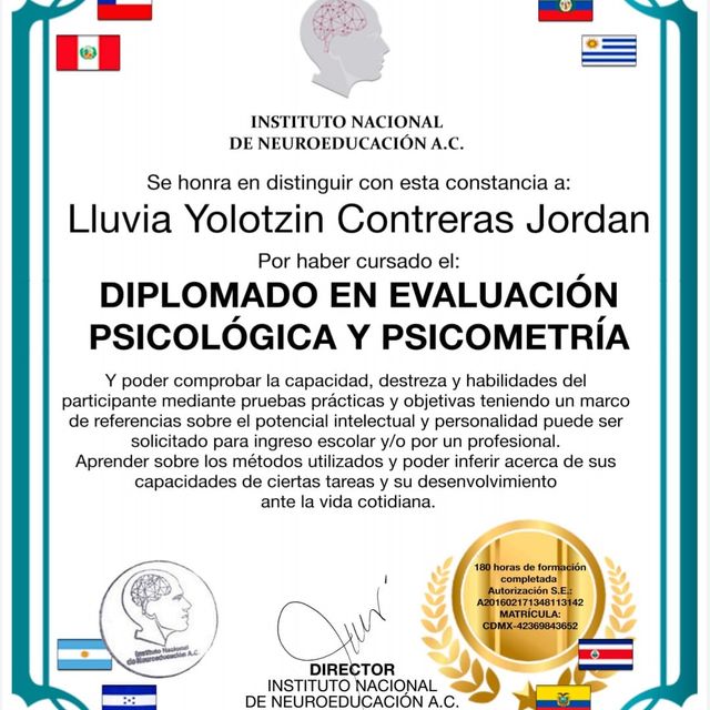 Ampliar imagen: certificate 10