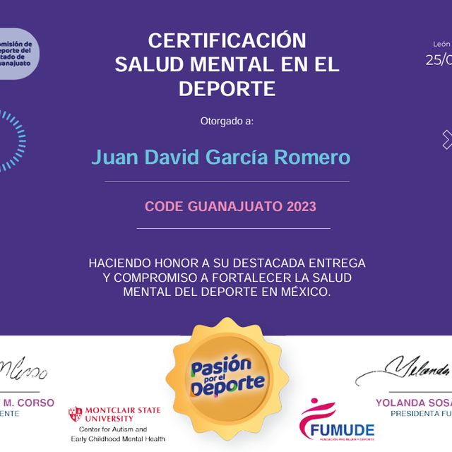 Ampliar imagen: certificate 2