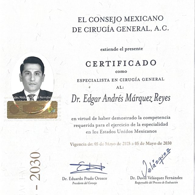 Ampliar imagen: certificate 1