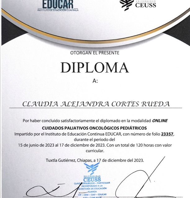 Ampliar imagen: certificate 3