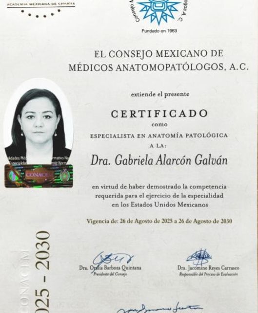 Ampliar imagen: certificate 1