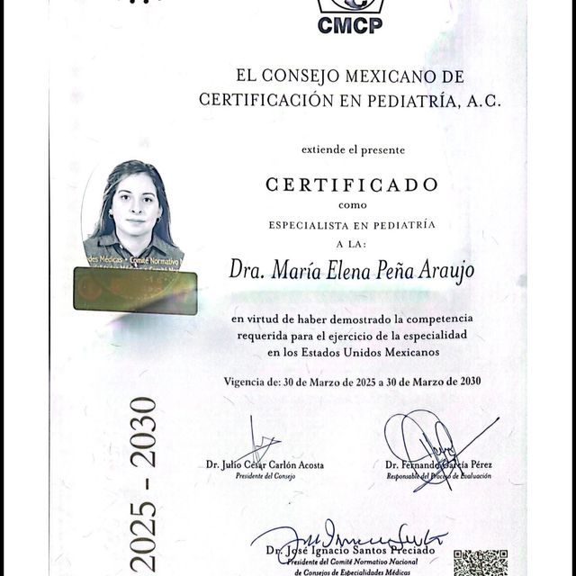 Ampliar imagen: certificate 3