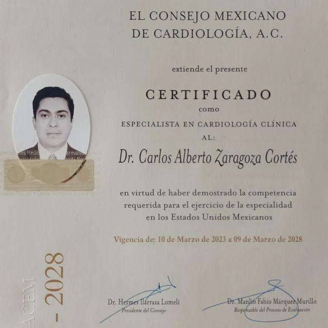 Ampliar imagen: certificate 1