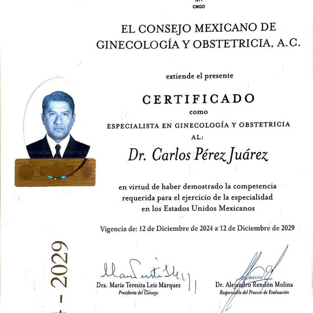 Ampliar imagen: certificate 2