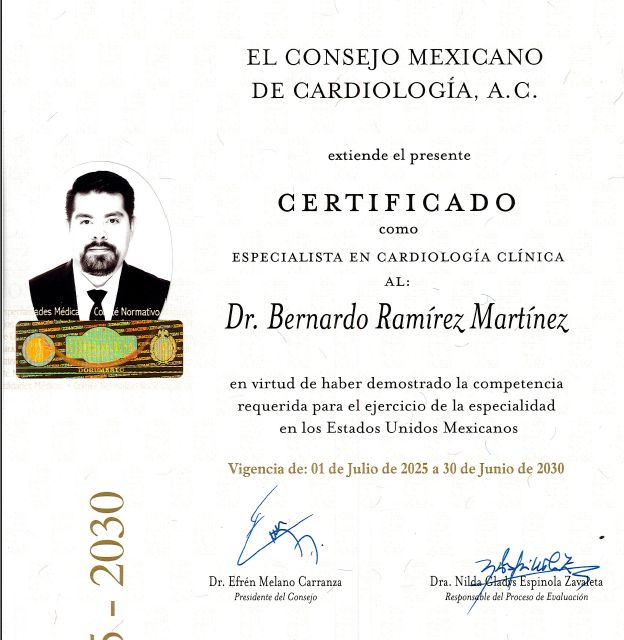 Ampliar imagen: certificate 3