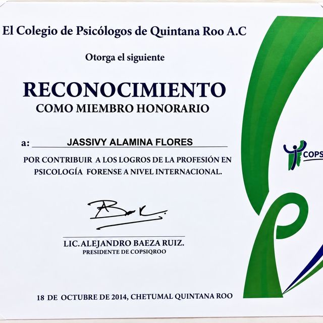 Ampliar imagen: certificate 1