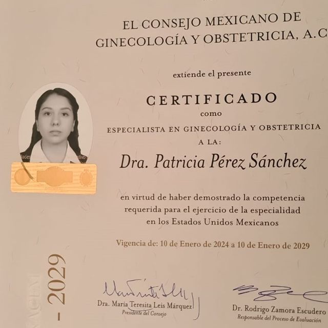 Ampliar imagen: certificate 2
