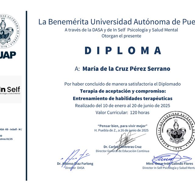 Ampliar imagen: certificate 2