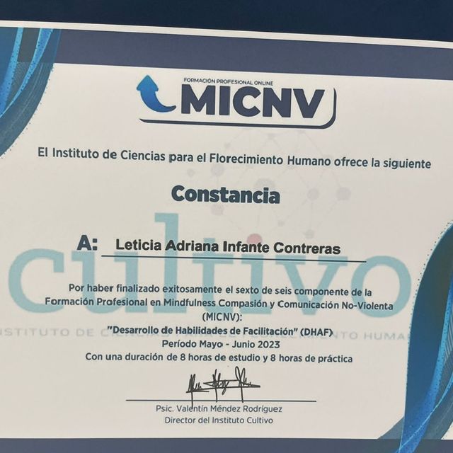 Ampliar imagen: certificate 15