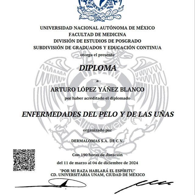 Ampliar imagen: certificate 4