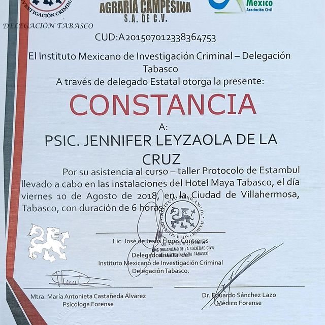 Ampliar imagen: certificate 18
