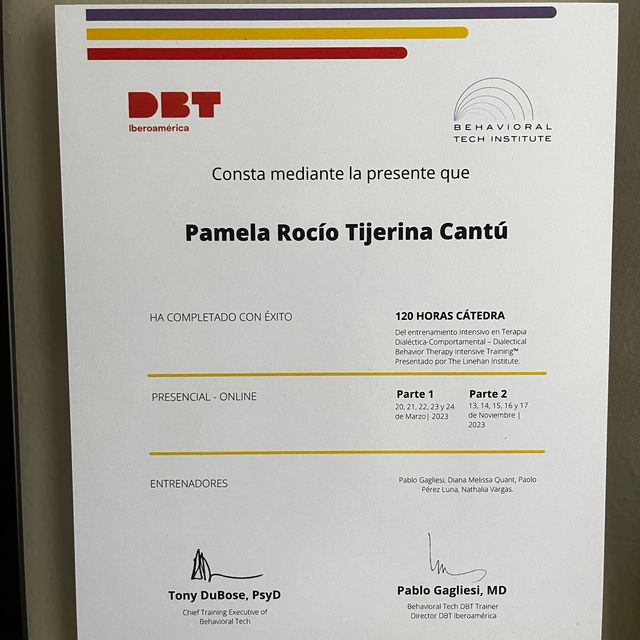 Ampliar imagen: certificate 4