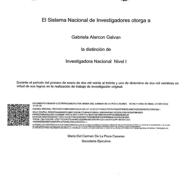 Ampliar imagen: certificate 6