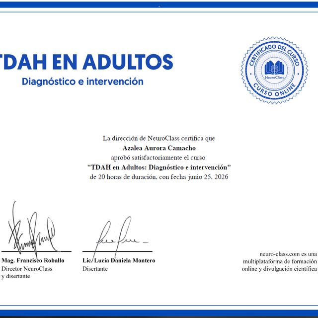 Ampliar imagen: certificate 23