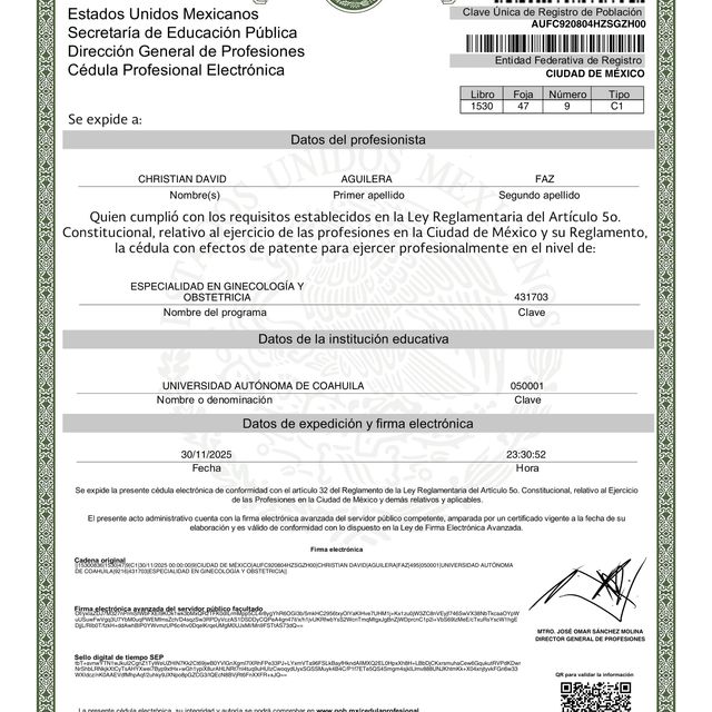 Ampliar imagen: certificate 2