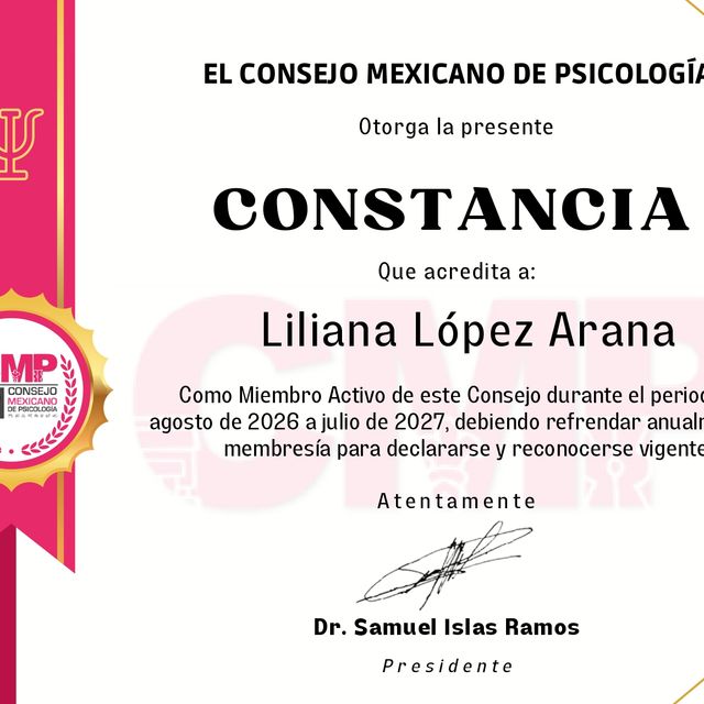 Ampliar imagen: certificate 1