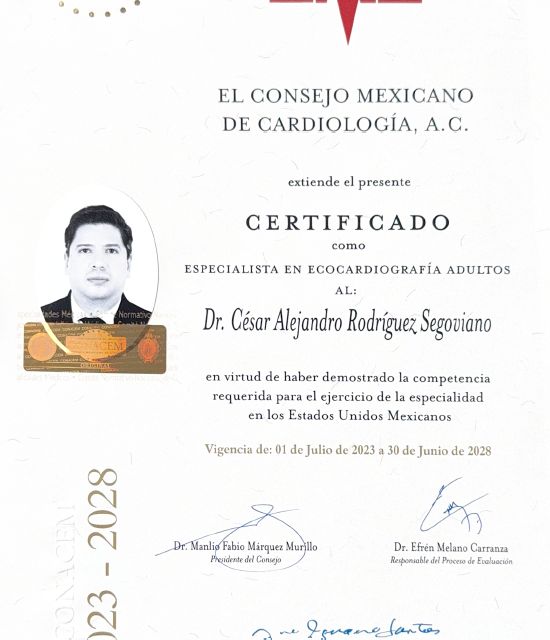 Ampliar imagen: certificate 5