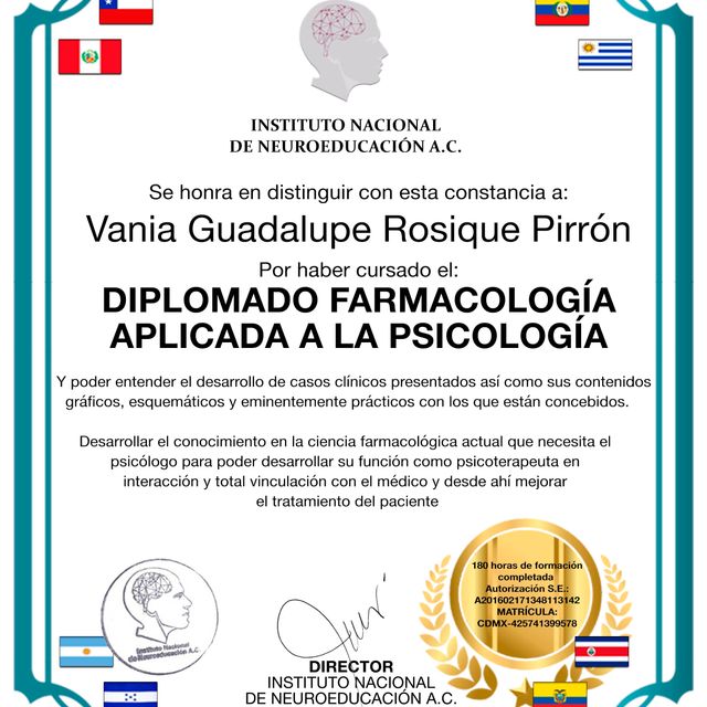 Ampliar imagen: certificate 5