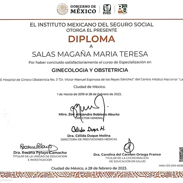 Ampliar imagen: certificate 5