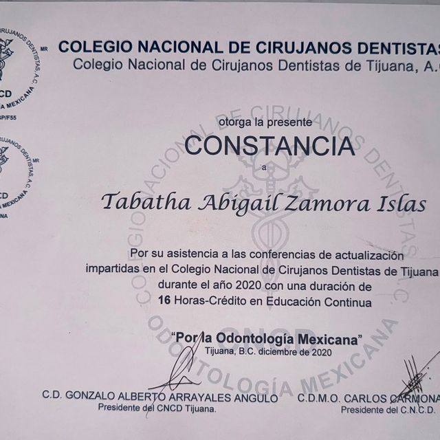 Ampliar imagen: certificate 2