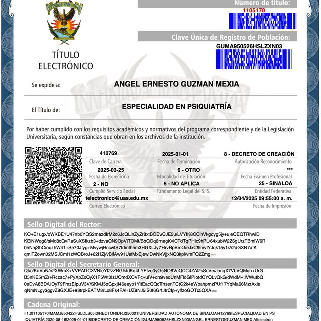 Ampliar imagen: certificate 2