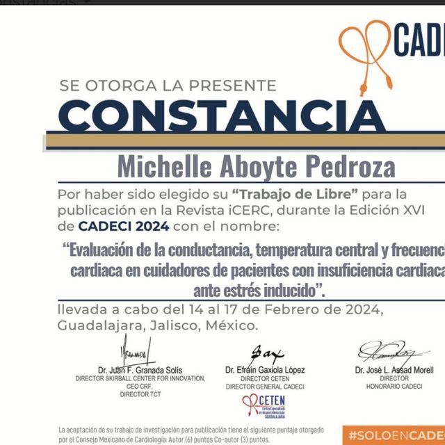 Ampliar imagen: certificate 3