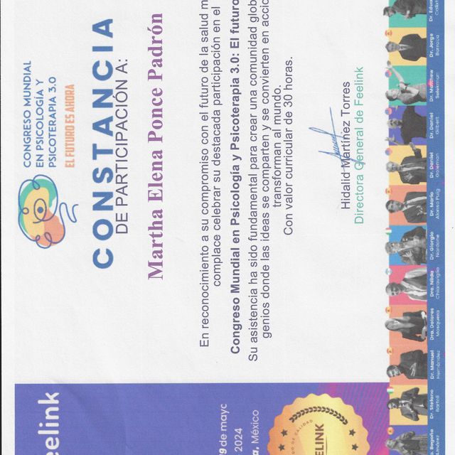 Ampliar imagen: certificate 16