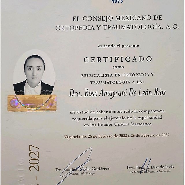 Ampliar imagen: certificate 1
