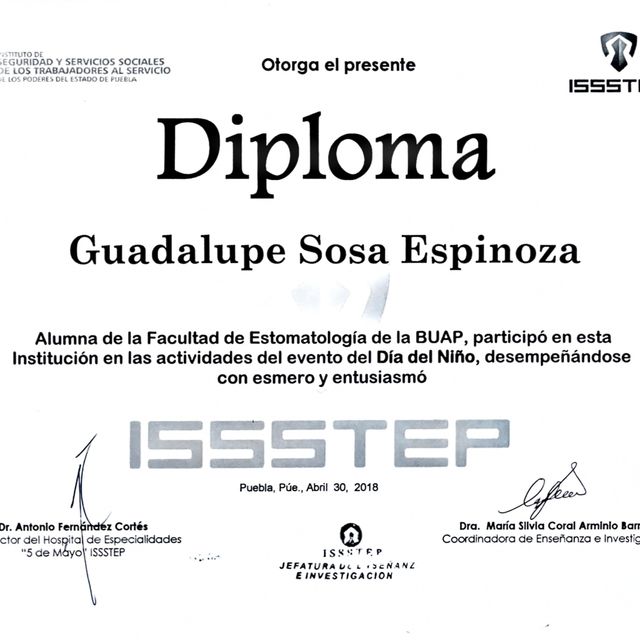 Ampliar imagen: certificate 4