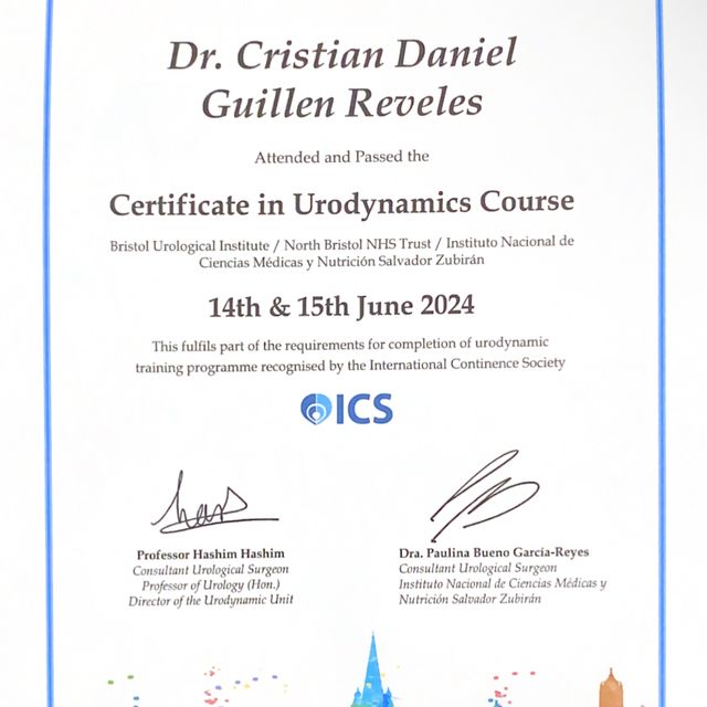 Ampliar imagen: certificate 3