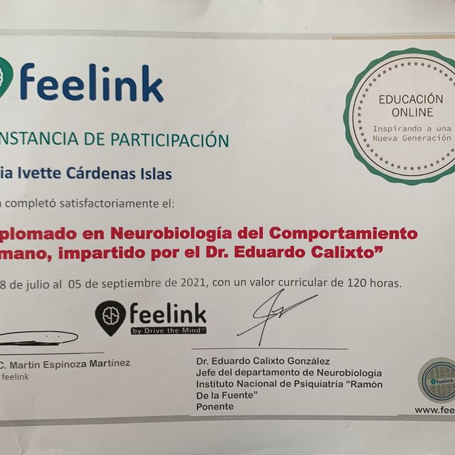Ampliar imagen: certificate 4